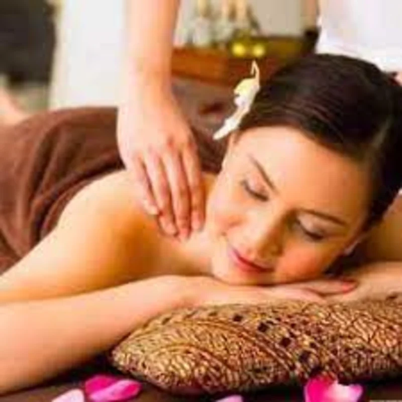 Great Pamper Touch Spa logo