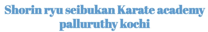Shorin Ryu Seibukan Karate Academy logo