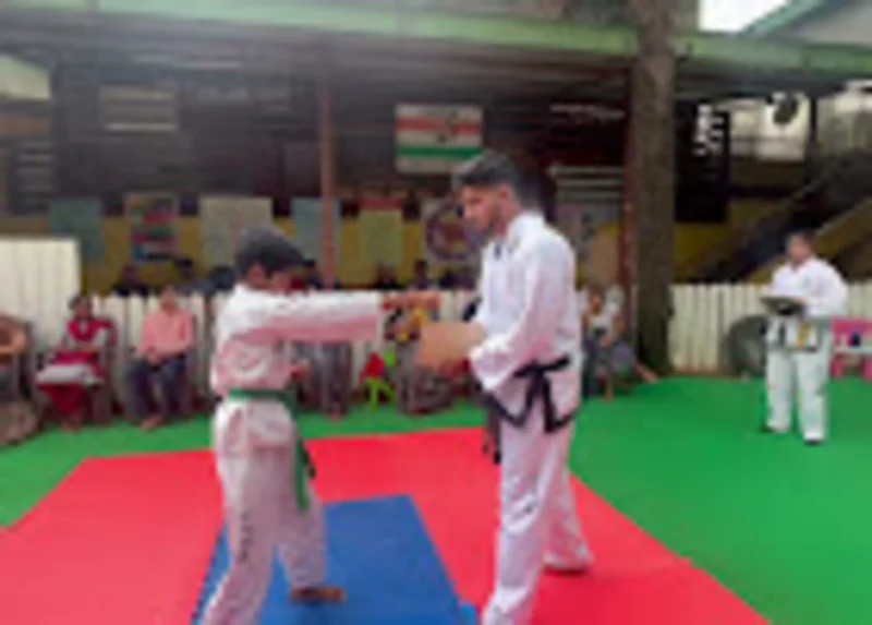 Skanda Taekwondo Academy logo