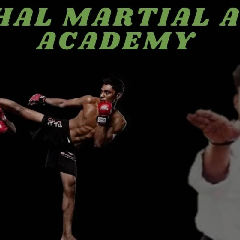 Vishal Martial Art Academy logo