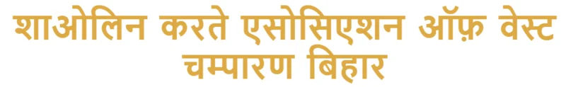 Shaolin Karate Association logo