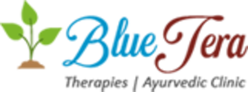 Blue Terra Spa logo