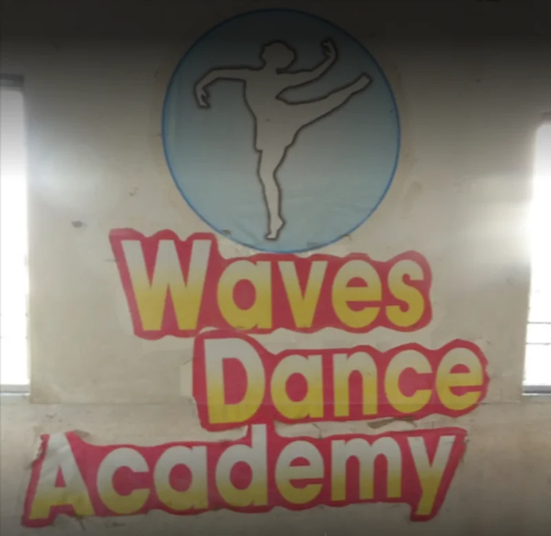 Waves Dance Academy & Zumba Fitness logo