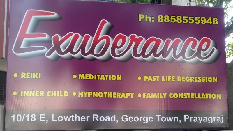 Exuberance logo