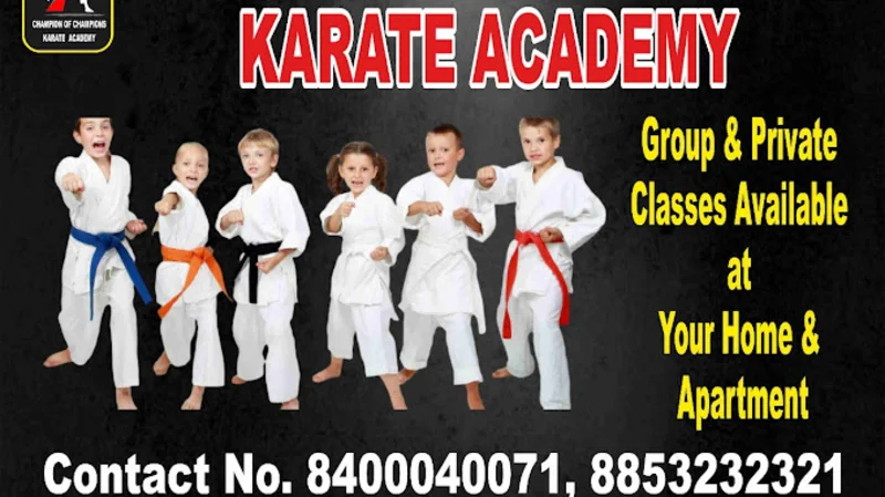 Champion Of Champions Karate Academy Little Friends logo
