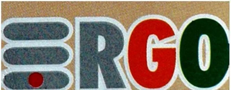 Ergo Outdoors logo
