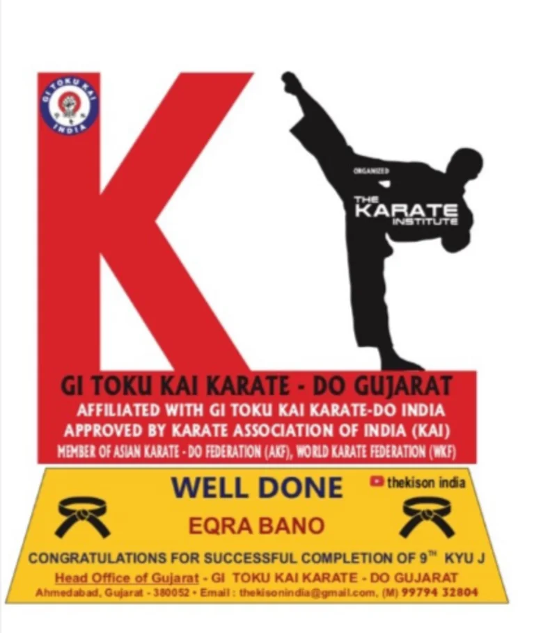 The Karate Institute Road Ahmedabad Gujarat logo