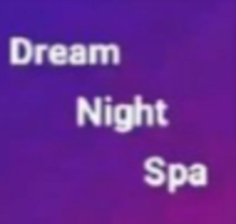 Dream Night Spa logo
