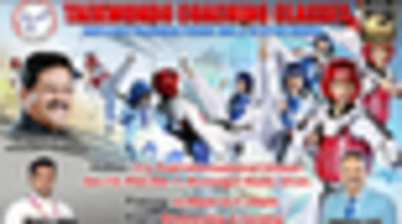 Taekwondo Coaching Classes logo