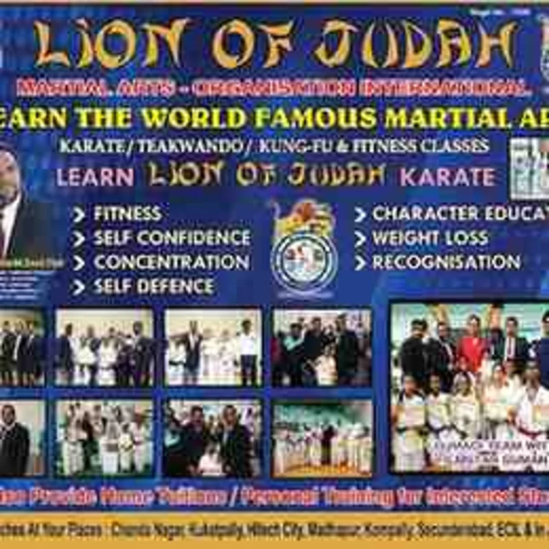 LION OF Judah Martial ARTS Organization International logo