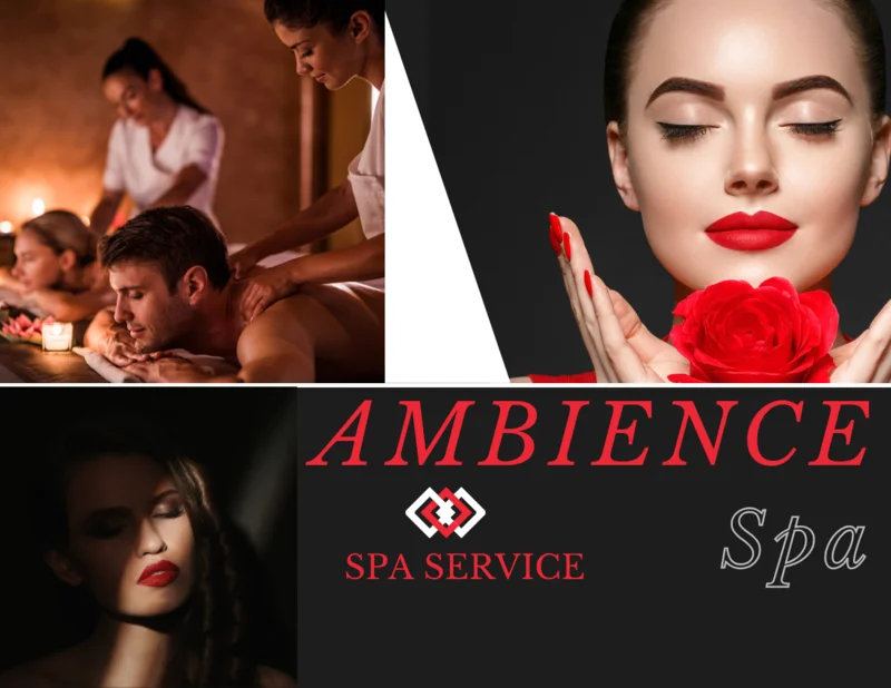 Ambience Spa and Salon logo