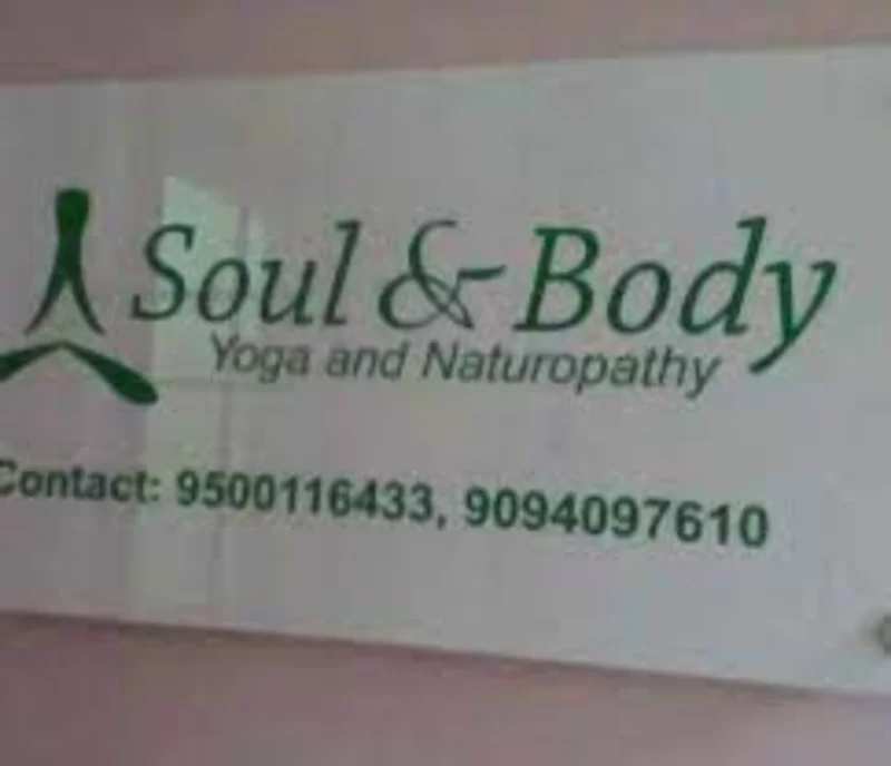 SOUL AND BODY YOGA AND Naturopathy Centre - Aerial YOGA, Bungee FIT, logo