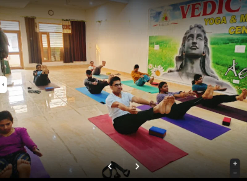 Vedic Life Yoga And Meditation Center logo