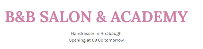 B & B SALON and Academy logo