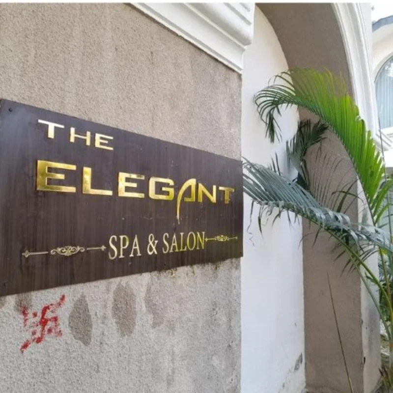 The Elegant Sap and salon logo