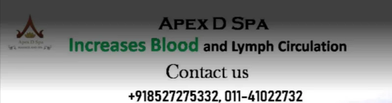 Apex D Spa - New Delhi Delhi logo