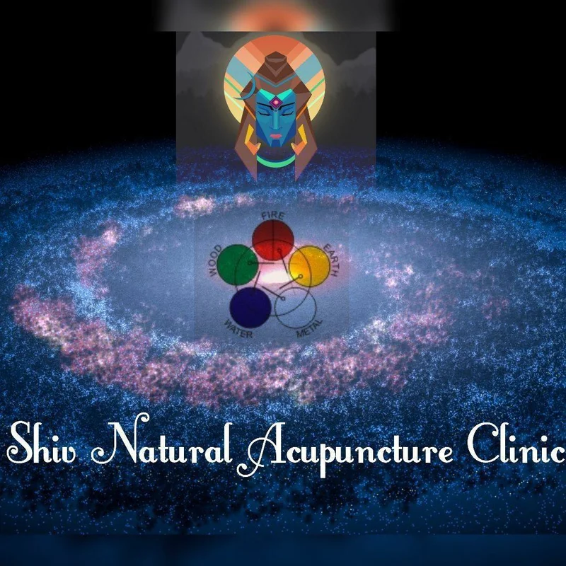 Shiv Natural Acupuncture Clinic logo