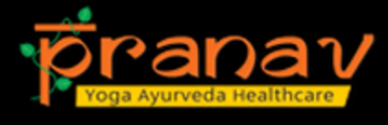 Pranav Yoga Ayurveda Healthcare-Ayurveda Panchkarma hospital and Yoga Classes In Udaipur logo