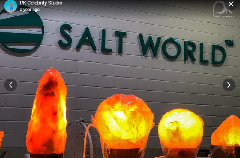 Salt World logo