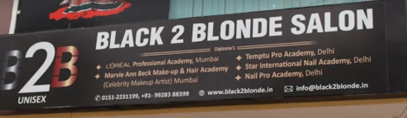 Black To Blonde Salon logo
