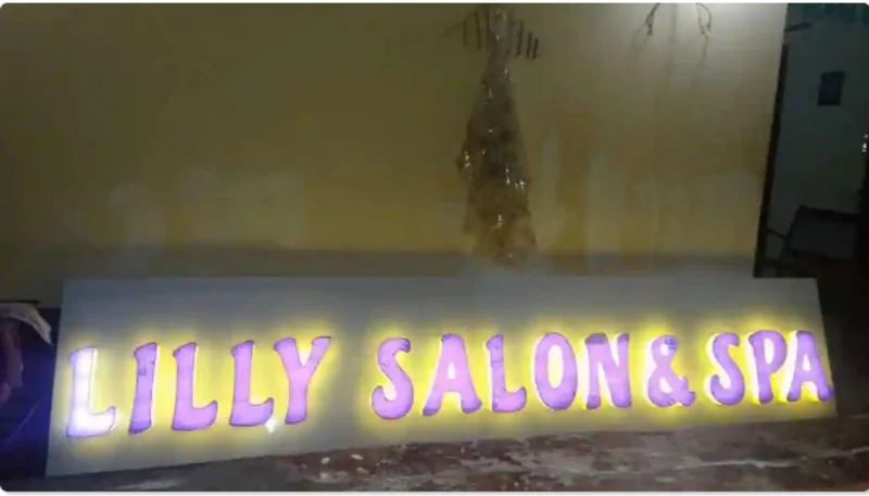 Lilly SALON N SPA IN Candolim, Goa logo