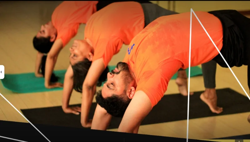 Krishna Yoga Shala logo
