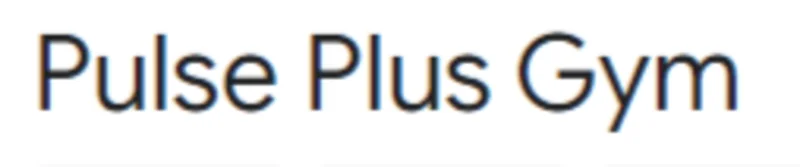 Pulse In Meerut logo