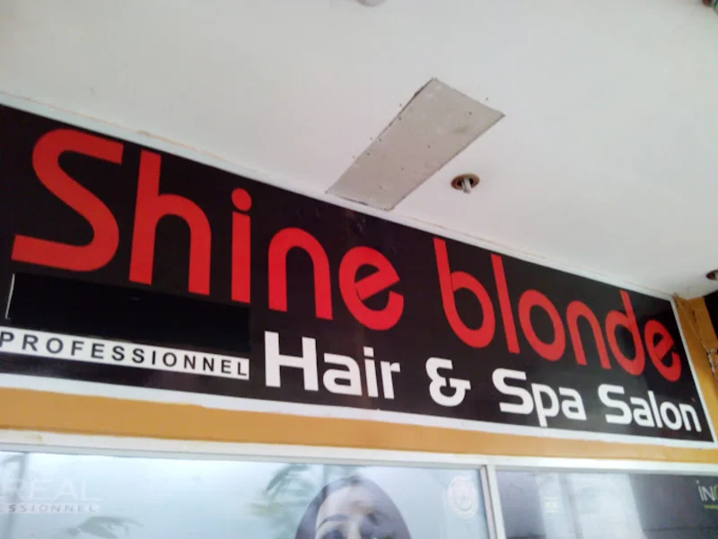 Shine Blonde G.S Road logo