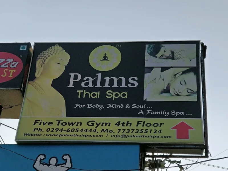 Palms Health And Wellness logo