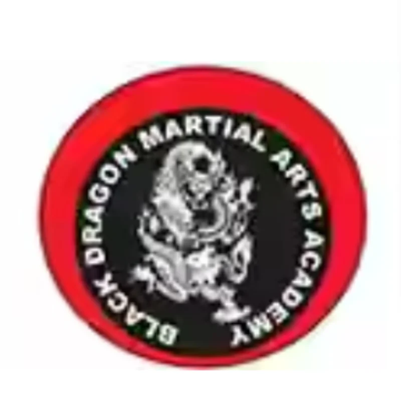Black Dragon Karate Kickboxing Academy In Sector -70 , Mohali , Punjab logo