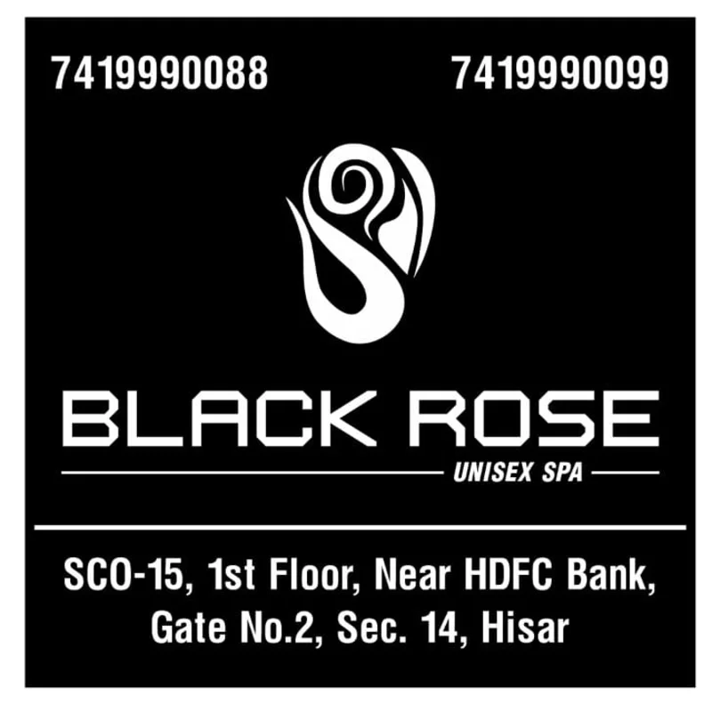 Black Rose Sona And Steam In Hisar logo
