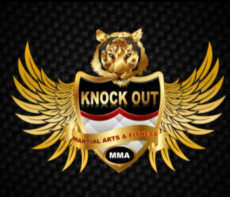 Knockout MMA And Gym In Uttam Nagar New Delhi logo