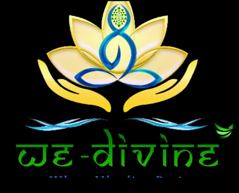 We Divine Ayurveda Panchkarma And Healing Center logo