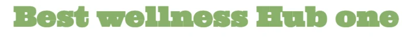 Best Wellness Hub One logo